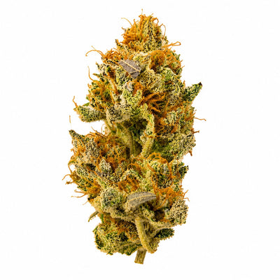 White Widow