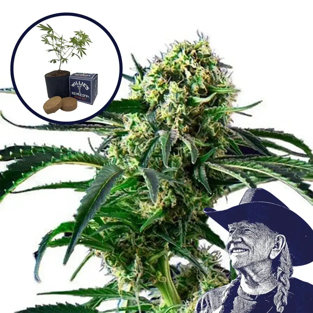 Wrecking Ball Grow Kit