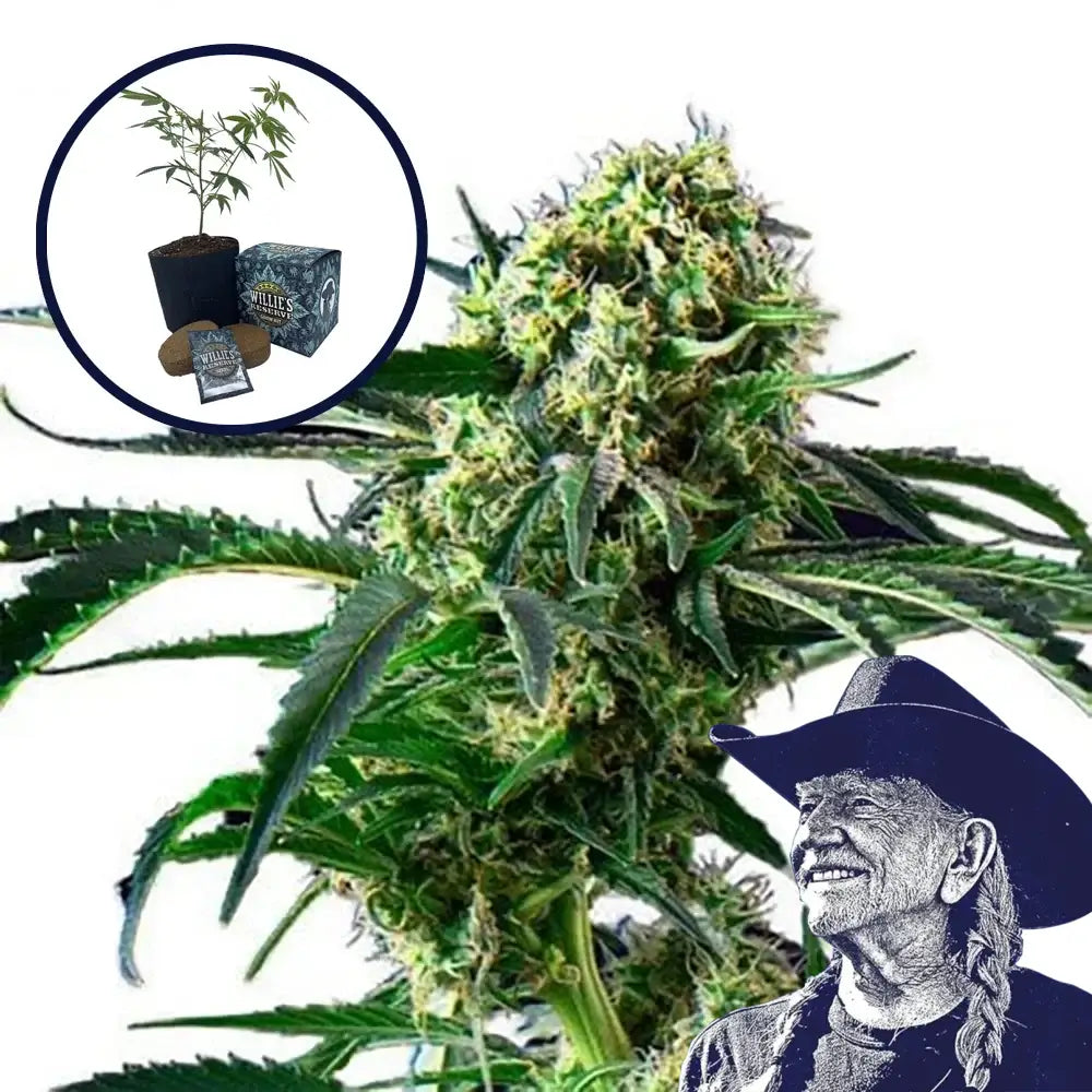 Wrecking Ball High Yield Grow Kit