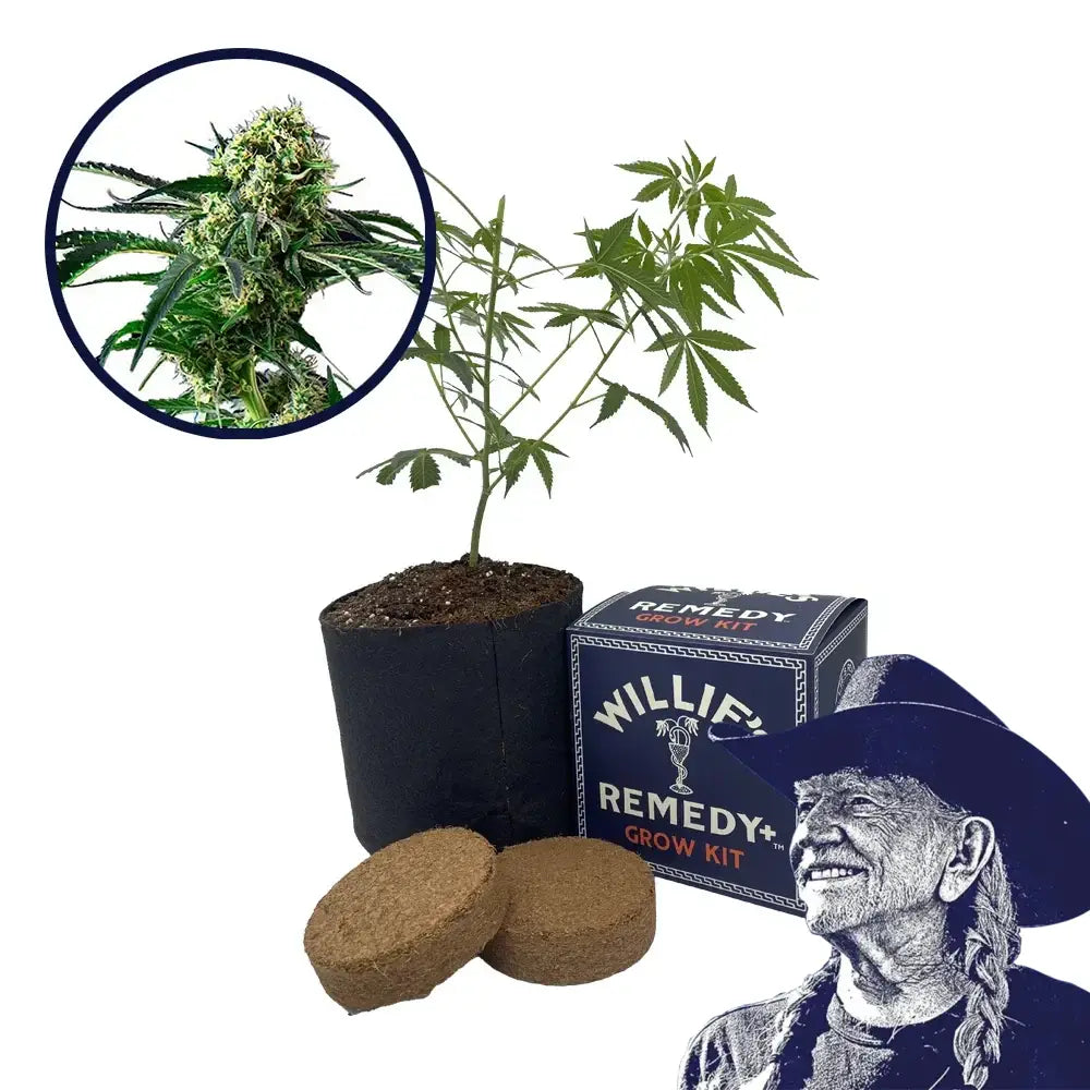 Wrecking Ball Strain Grow Kit