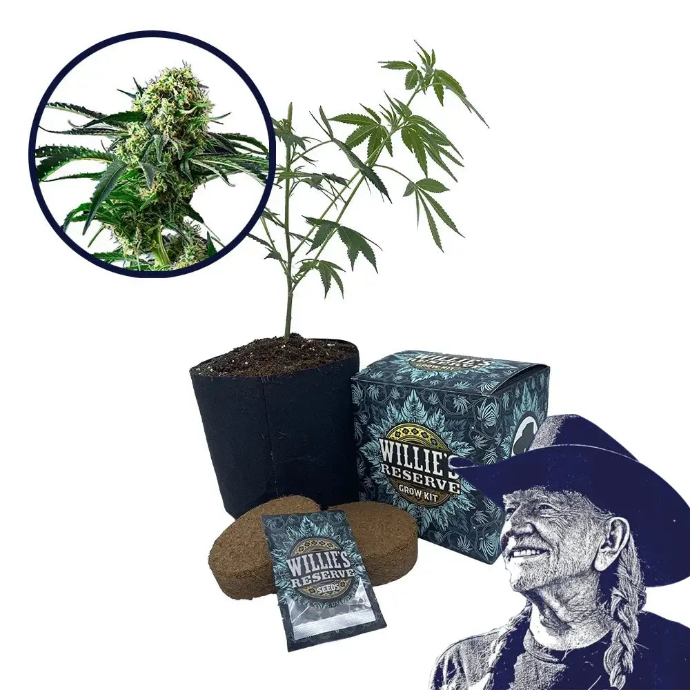 Wrecking Ball Strain High Yield Grow Kit