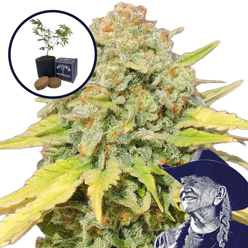 Zkittlez Grow Kit