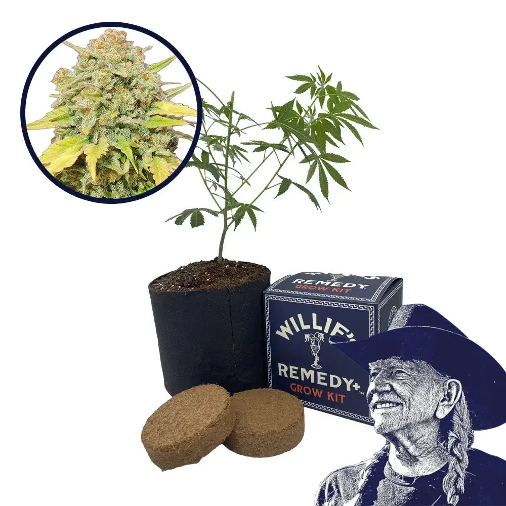 Zkittlez Strain Grow Kit