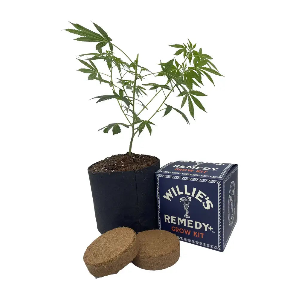 Zookies Grow Kit