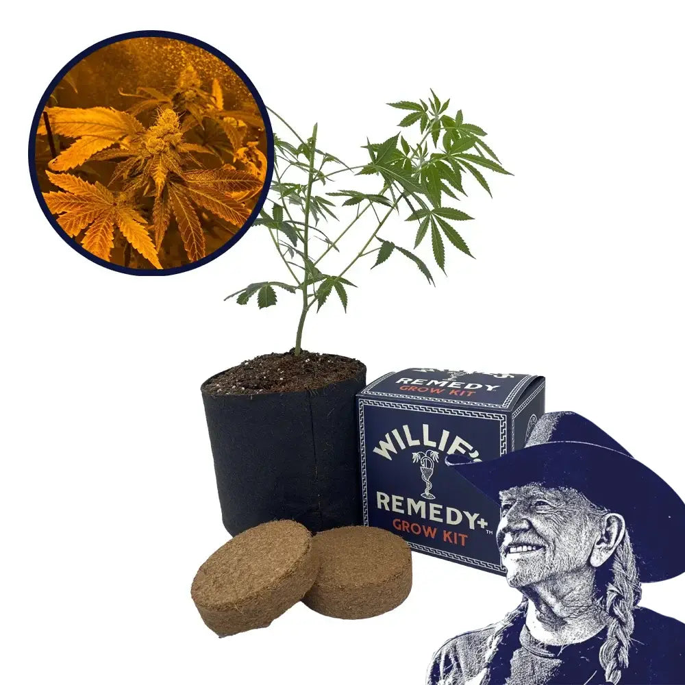 Zookies Strain Grow Kit